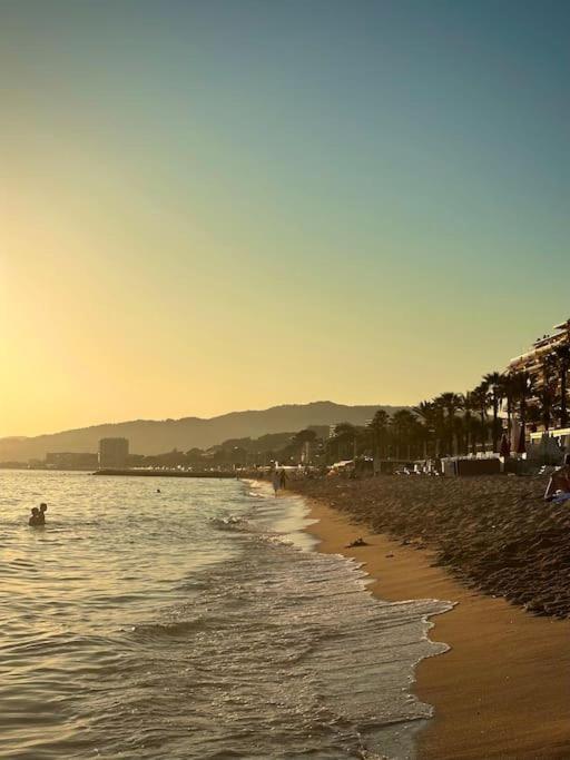 Location In Cannes! Just Renovated!