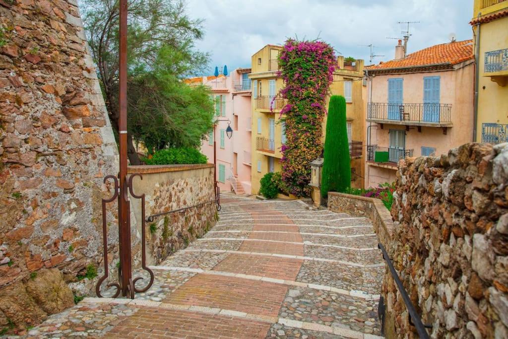 Location In Cannes! Just Renovated! Appartement
